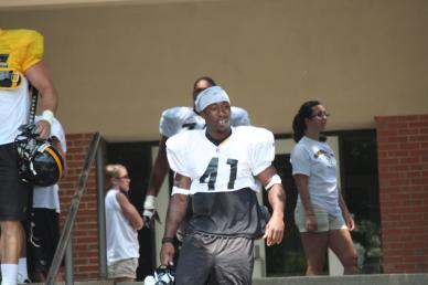 Stefan Logan’s arrival on the scene isn’t a problem for the Steelers, it’s a blessing