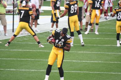 Steelers vs Panthers Game Notes 
