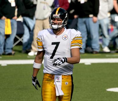 Steelers end regular season on a high note in what was a season of disappointment
