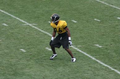 The Steelers Rookie Report: Camp Observations & Analysis