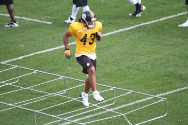 Steelers declare open negotiating period dead; Polamalu talks about his knee injury