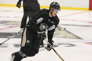 Penguins establishing a 