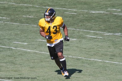 Grdnic: Polamalu reflects on calf injury, future & young DB's